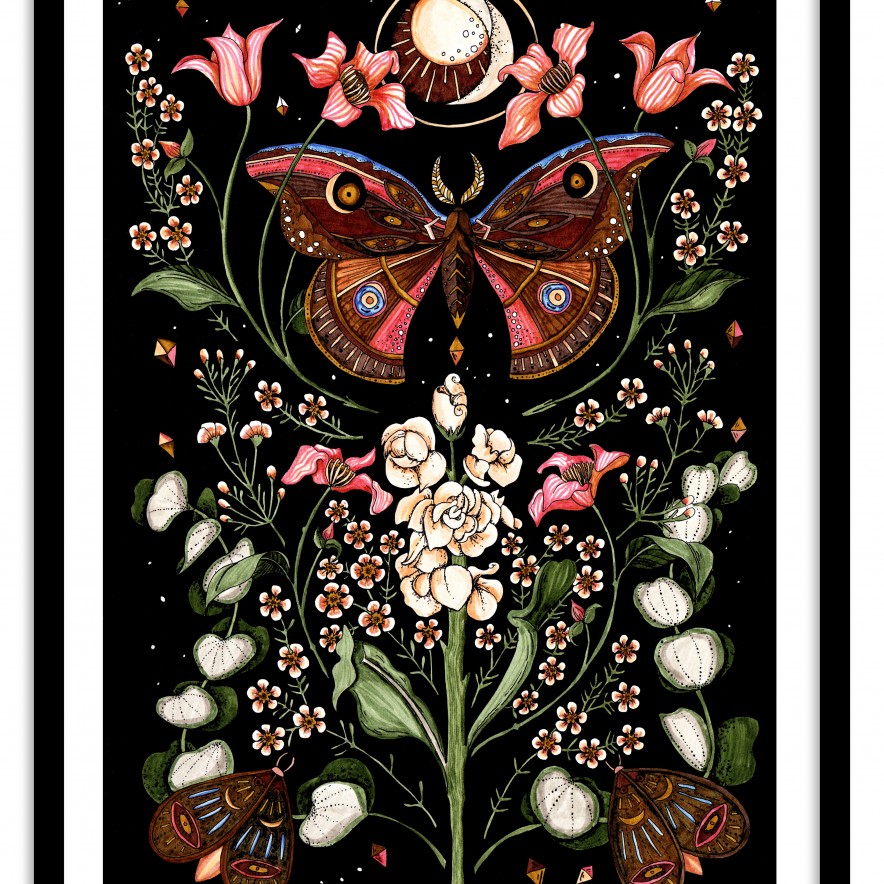 butterfly moon frame